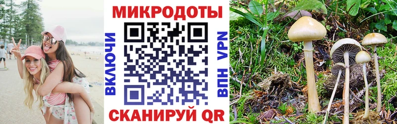 купить  сайты  Кстово  Псилоцибиновые грибы прущие грибы 