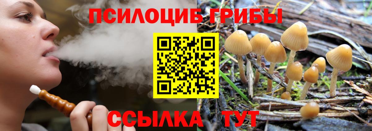 Галлюциногенные грибы мухоморы  Вход с VPN  Кстово 