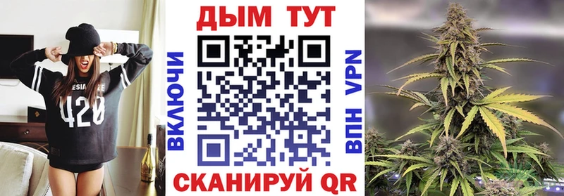 kraken онион  Кстово  Каннабис семена 